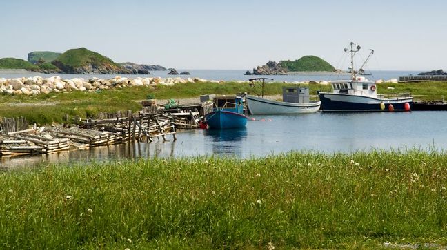 Ferryland, Newfoundland & Labrador, Canada Hotels