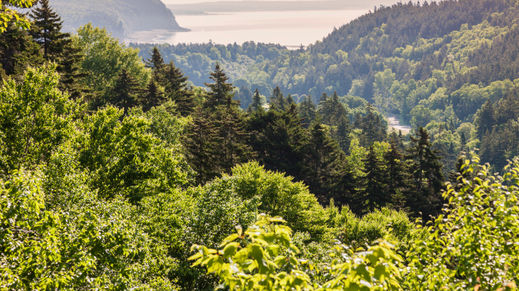Fundy National Park, New Brunswick, Canada