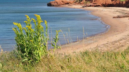 Prince Edward Island National Park, Prince Edward Island, Canada