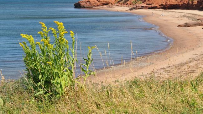 Prince Edward Island National Park, Prince Edward Island, Canada Hotels
