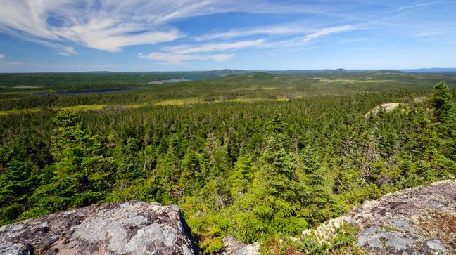 Terra Nova National Park, Newfoundland & Labrador, Canada Hotels