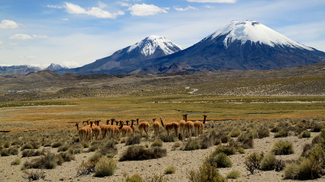 Lauca National Park, Chile Hotels