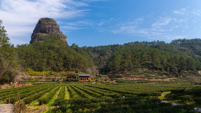 Wuyishan, China Hotels