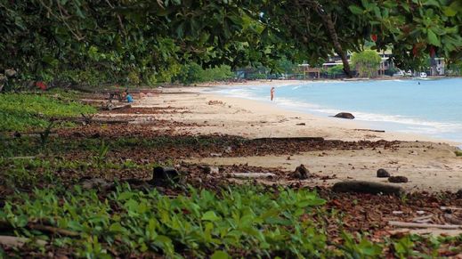 Cahuita National Park, Costa Rica