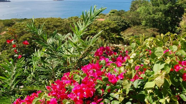Golfo Papagayo, Costa Rica Hotels