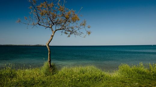 Brijuni Islands, Croatia