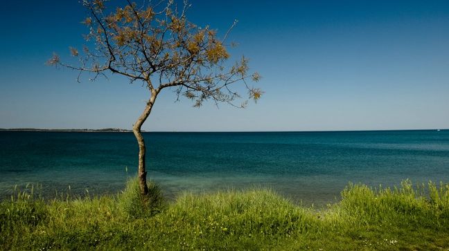 Brijuni Islands, Croatia Hotels