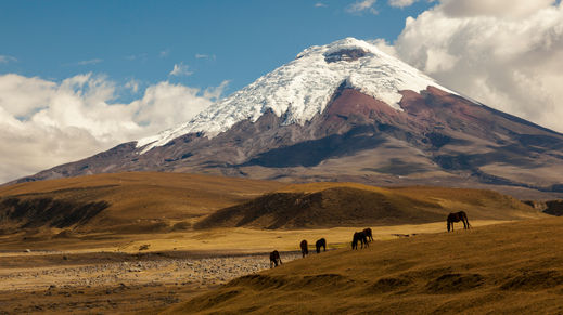 Cotopaxi National Park, Ecuador