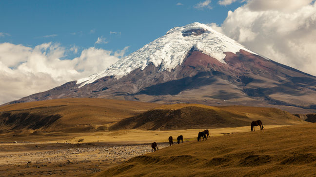 Cotopaxi National Park, Ecuador Hotels
