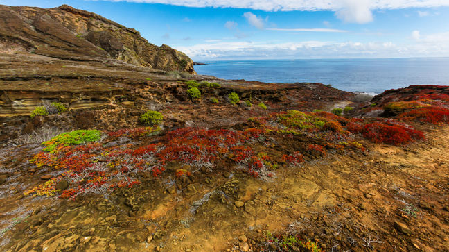 San Cristobal Is, Galapagos Islands, Ecuador Hotels