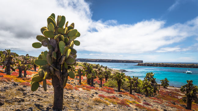 South Plaza Island, Galapagos Islands, Ecuador Hotels