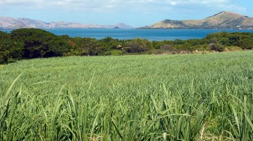Viti Levu, Fiji