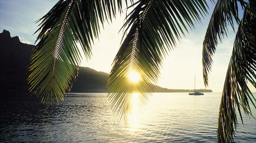 Moorea, Society Islands, French Polynesia
