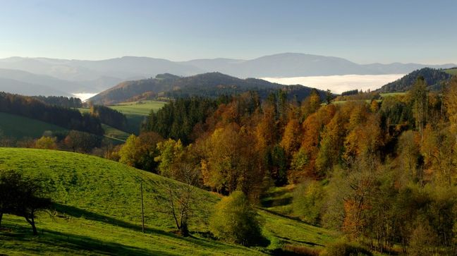 Black Forest, Germany Hotels