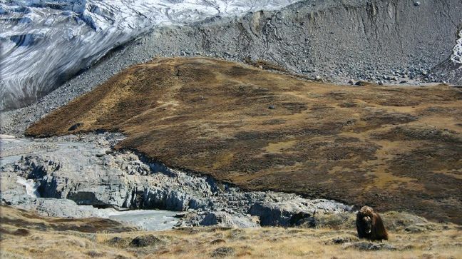 Kangerlussuaq, Greenland Hotels