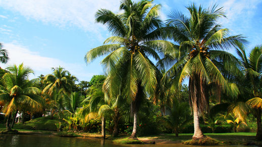 Livingston, Guatemala