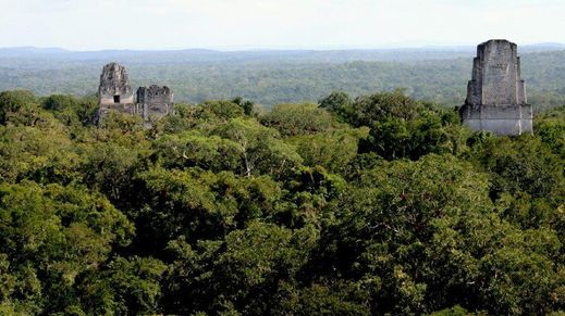 Tikal Natl Park, Guatemala