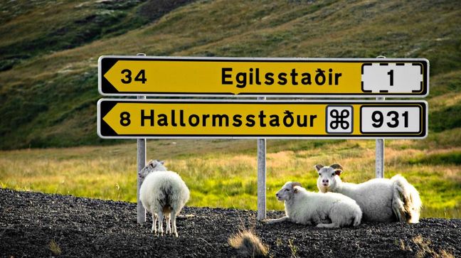 Egilsstadir, Iceland Hotels