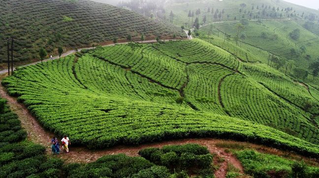 Darjeeling, India Hotels
