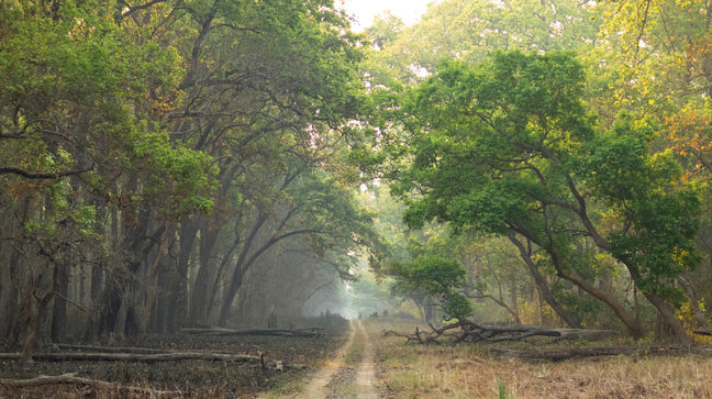 Dudhwa Natl Park, India Hotels
