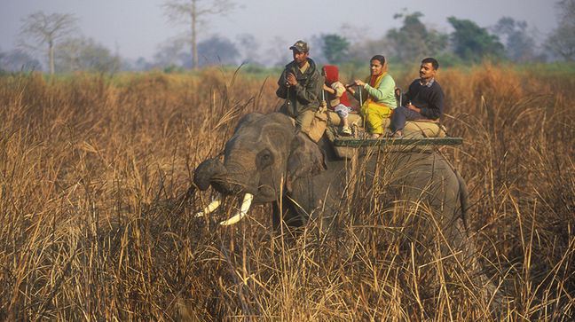Kaziranga, India Hotels