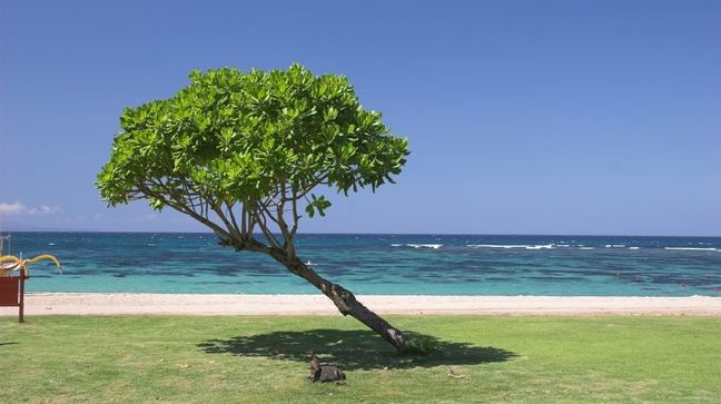 Nusa Dua, Indonesia Hotels
