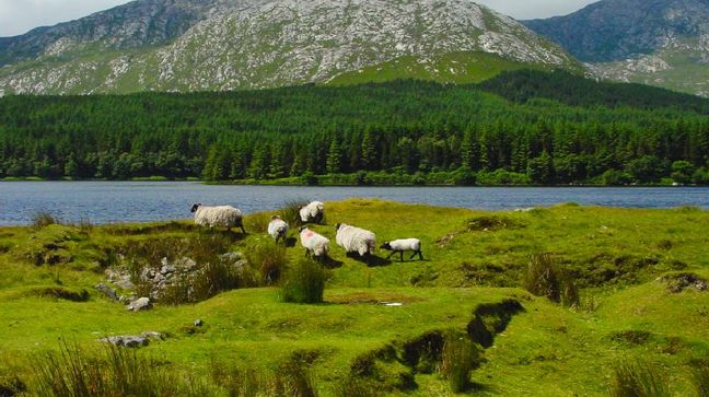 Connemara, Ireland Hotels