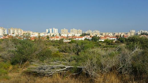 Ashkelon, Israel