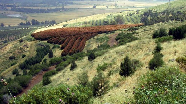 Golan, Israel Hotels