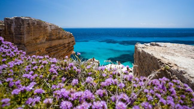 Favignana, Isola di Favignana, Italy Hotels