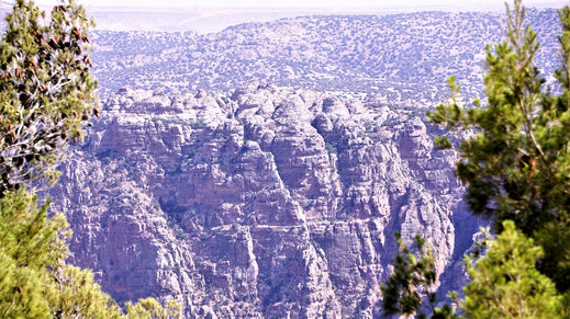 Dana Nature Reserve, Jordan