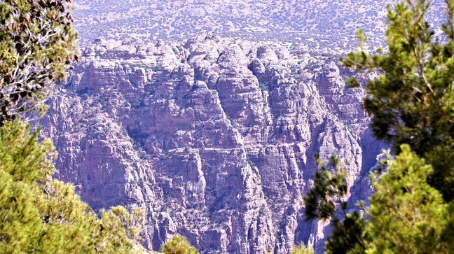 Dana Nature Reserve, Jordan Hotels