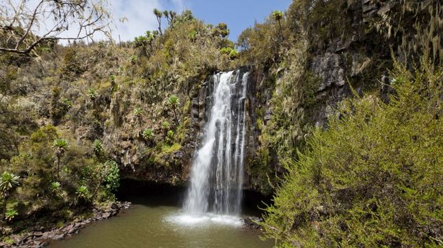 Aberdare National Park, Kenya Hotels