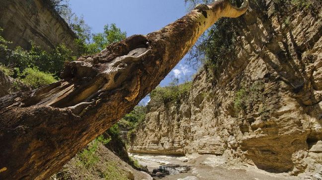 Hell's Gate National Park, Kenya Hotels