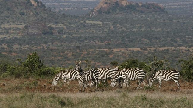 Laikipia Plateau, Kenya Hotels