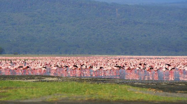 Lake Nakuru National Park, Kenya Hotels