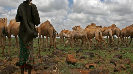 Marsabit Natl Reserve, Kenya
