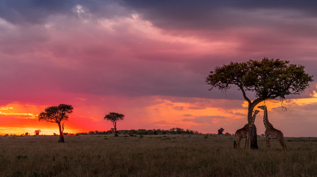 Masai Mara Game Reserve, Kenya Hotels