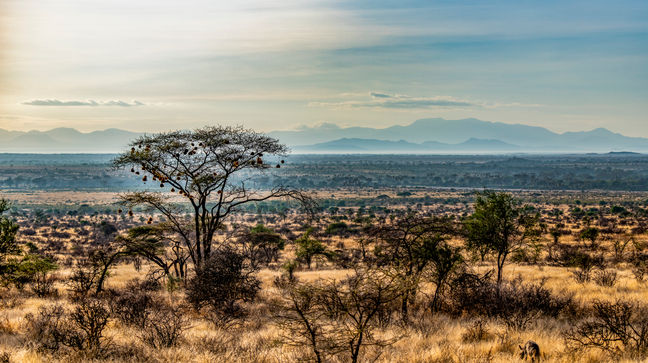 Samburu Game Reserve, Kenya Hotels