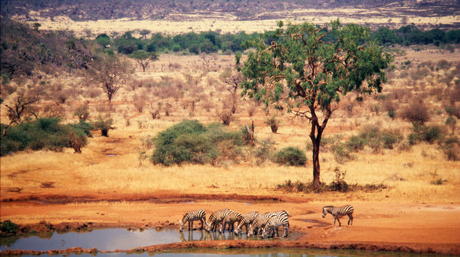 Tsavo Natl Park, Kenya Hotels