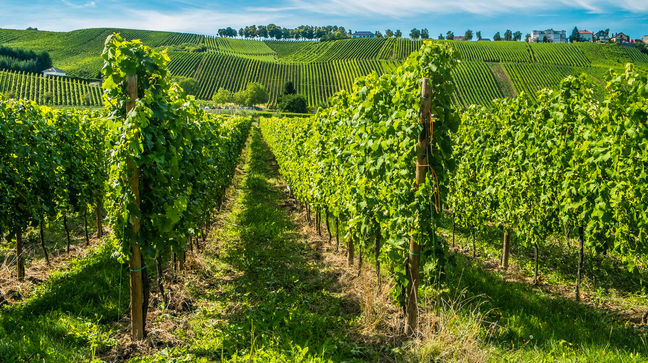 Grevenmacher, Luxembourg Hotels