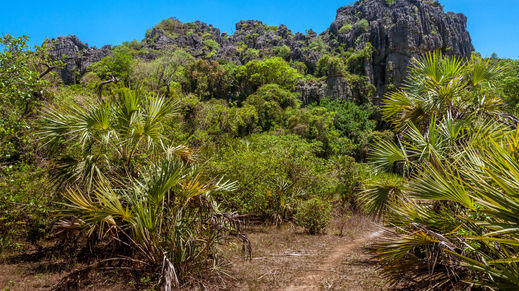 Ankarana Reserve, Madagascar