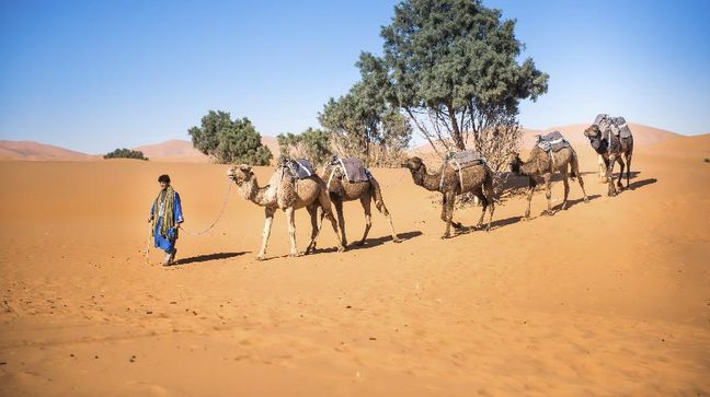Goulimime, Morocco Hotels