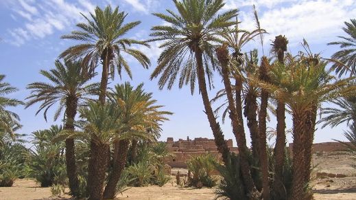 Zagora, Morocco
