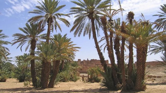 Zagora, Morocco Hotels
