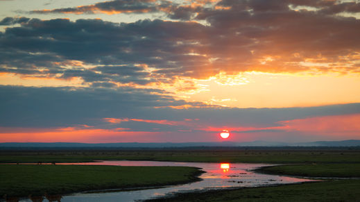 Gorongosa National Park, Mozambique