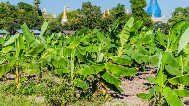 Inwa, Myanmar Hotels