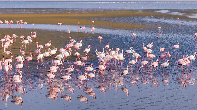 Walvis Bay, Namibia Hotels