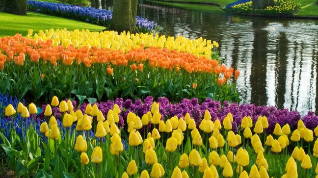 Keukenhof, Netherlands Hotels