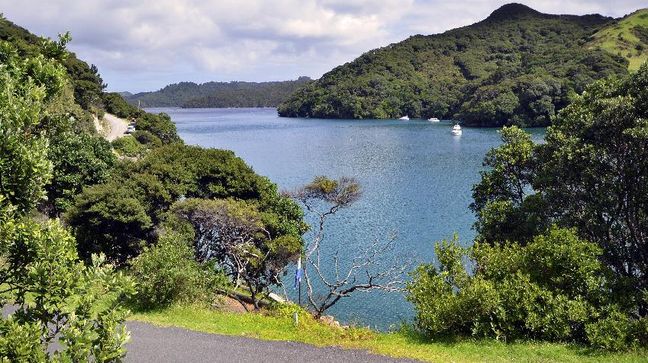 Great Barrier Is., New Zealand Hotels